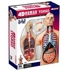 4D Mens