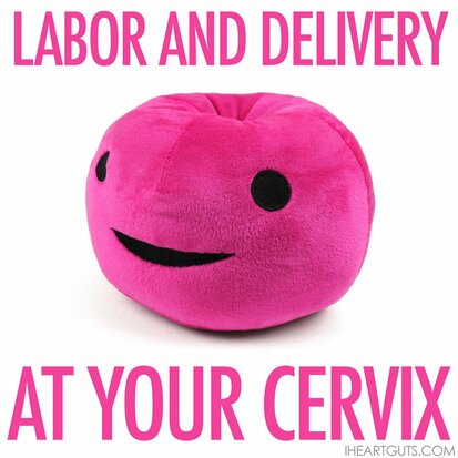 I Heart Guts Organ - Science Biology Plush Cervix