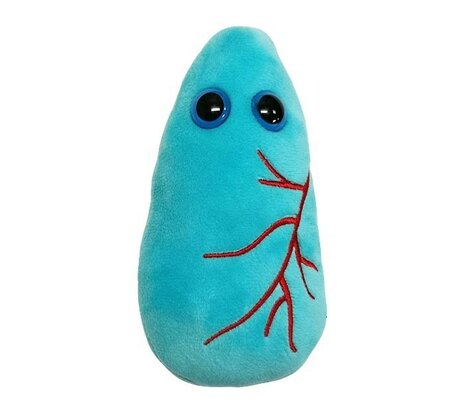 Giant Microbes Orgaan - Wetenschap biologie long