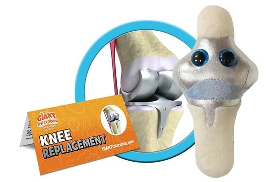 Giant Microbes Orgaan - Wetenschap biologie kunstknie