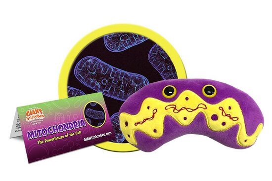 Giant Microbes Orgaan - Wetenschap biologie mitochondria