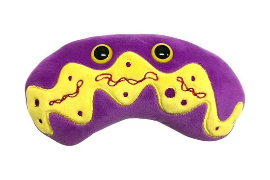 Giant Microbes Orgaan - Wetenschap biologie mitochondria