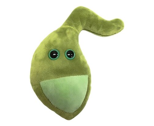Giant Microbes Orgaan - Wetenschap biologie galblaas