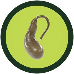 Giant Microbes Orgaan - Wetenschap biologie galblaas