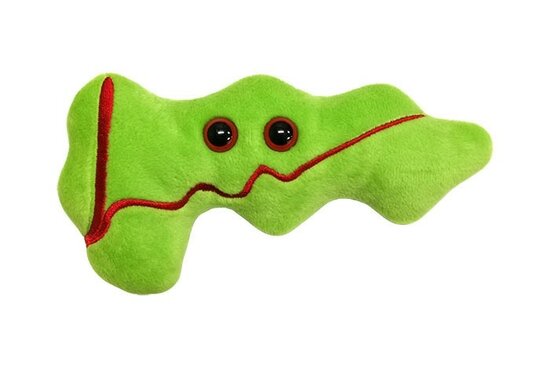 Giant Microbes Orgaan - Wetenschap biologie alvleesklier