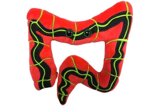 Giant Microbes Orgaan - Wetenschap biologie prikkelbaar darm syndroom