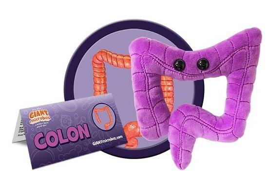 Giant Microbes Orgaan - Wetenschap biologie dikke darm