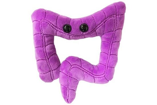 Giant Microbes Orgaan - Wetenschap biologie dikke darm
