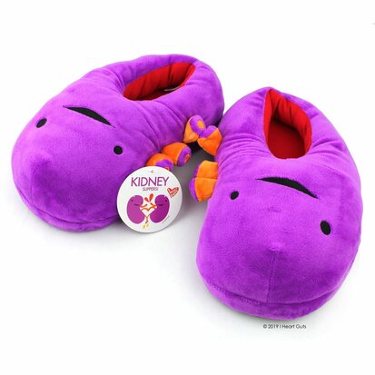 I Heart Guts Plush - Science Biology Kidney Slippers