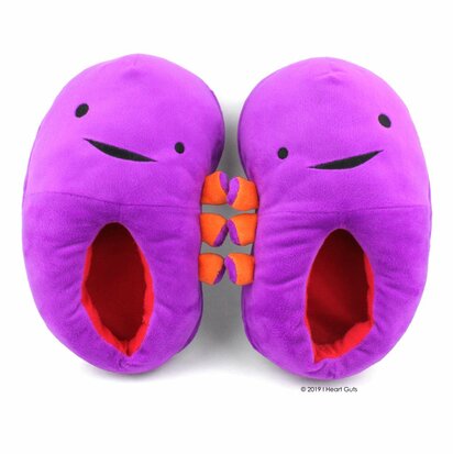 I Heart Guts Plush - Science Biology Kidney Slippers