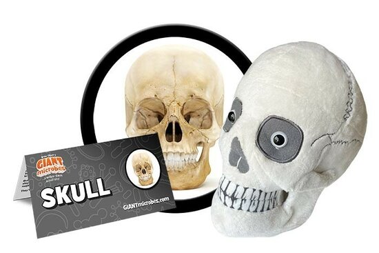 Giant Microbes Plush - Science Biology Skull