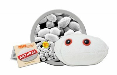 Giant Microbes Anthrax