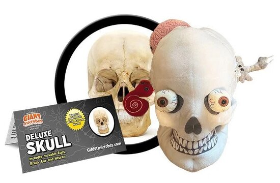 Giant Microbes XL - Science Biology Deluxe Skull