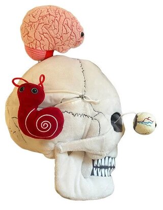 Giant Microbes XL - Science Biology Deluxe Skull