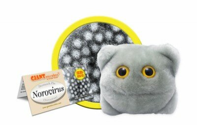 Giant Microbes plush version of the Norovirus