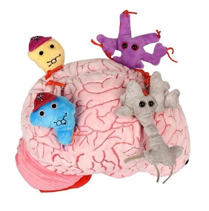 Giant Microbes Gigantic - Science Biology Deluxe Organ Brain Plush