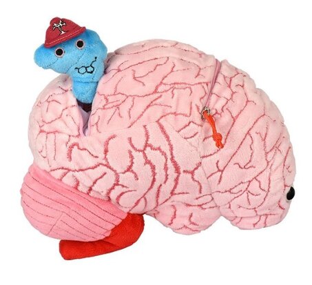 Giant Microbes Gigantic - Science Biology Deluxe Organ Brain Plush