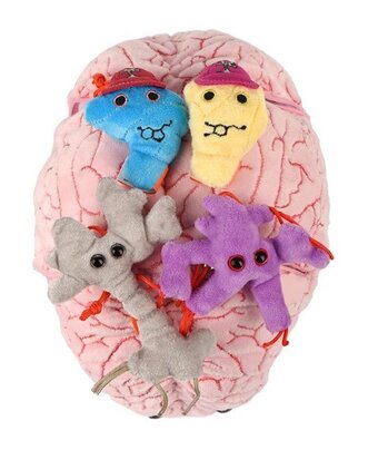 Giant Microbes Gigantic - Science Biology Deluxe Organ Brain Plush