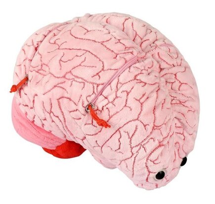 Giant Microbes Gigantic - Science Biology Deluxe Organ Brain Plush