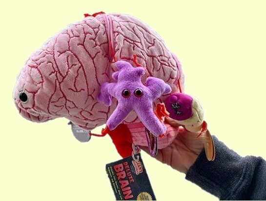 Giant Microbes Gigantic - Science Biology Deluxe Organ Brain Plush