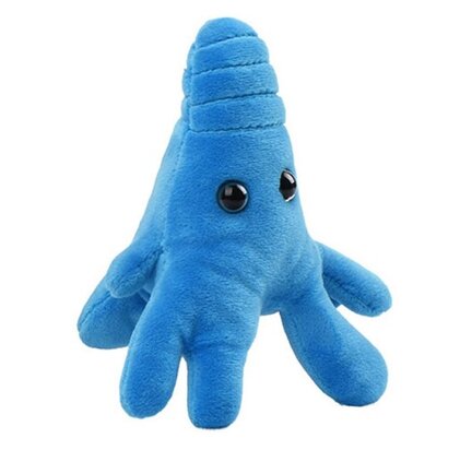 Giant Microbes Amoeba blue (Amoeba Proteus)