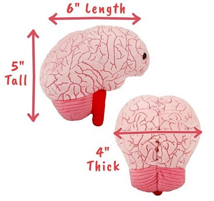 Giant Microbes Brain Organ