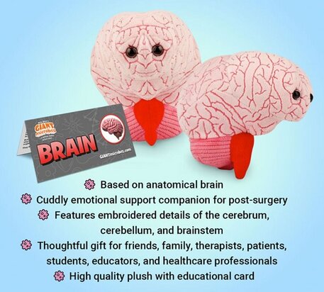 Giant Microbes Brain Organ