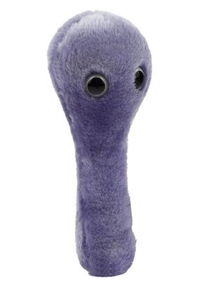 Giant Microbes plush clostridioides difficile