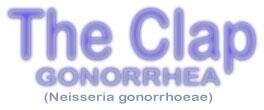 Giant Microbes Clap - Gonorrhea {Neisseria Gonorrhoeae}
