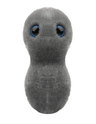 Giant Microbes Clap - Gonorrhea {Neisseria Gonorrhoeae}