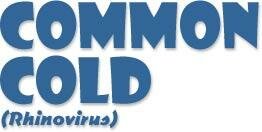 Giant Microbes pluche Common cold (verkoudheid)