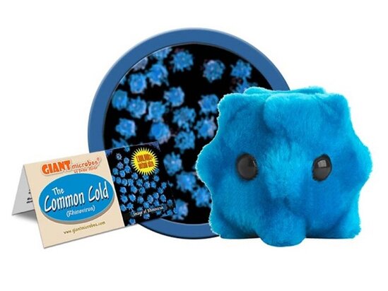Giant Microbes pluche Common cold (verkoudheid)