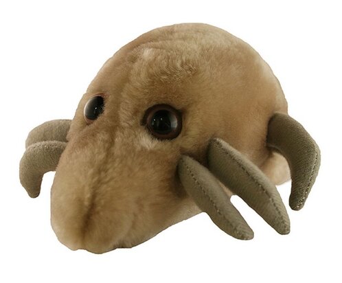Giant Microbes Dust mite (stofmijt)