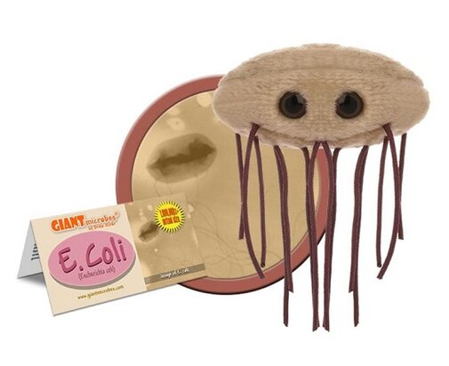 Giant Microbes E. coli bacteria