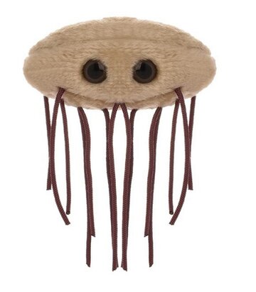 Giant Microbes E. coli bacteria