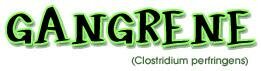 Giant Microbes plush Gangrene bacteria