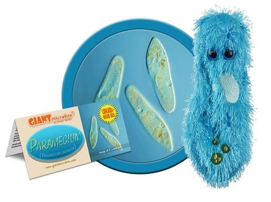 Giant Microbes pluche Paramecium (Pantoffeldier)
