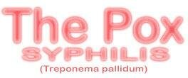 Giant Microbes plush Pox bacteria Treponema Pallidum (Syphilis)