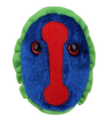 Giant Microbes pluche Smallpox virus (Variola virus)