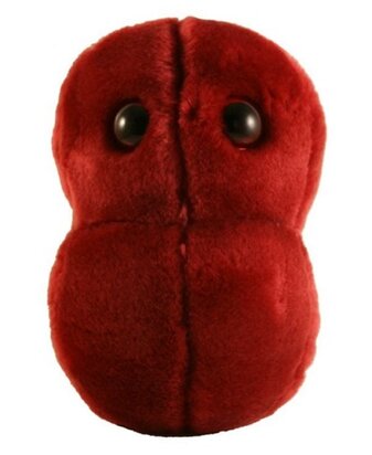 Giant Microbes plush Sore throat bacteria (Streptococcus)