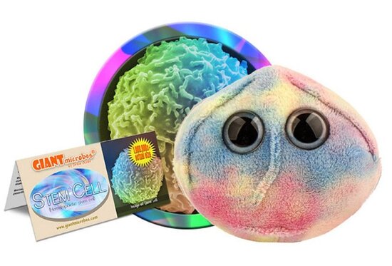 Giant Microbes Stem cell (Hematopoëtische stamcel)