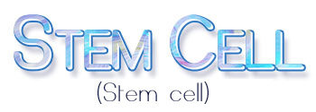 Giant Microbes Stem cell (Hematopoëtische stamcel)