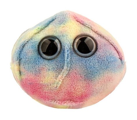 Giant Microbes Stem cell (Hematopoëtische stamcel)