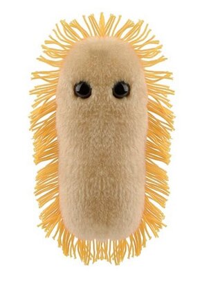 Giant Microbes pluche Stomach ache (maagpijn) - Shigella bacterie
