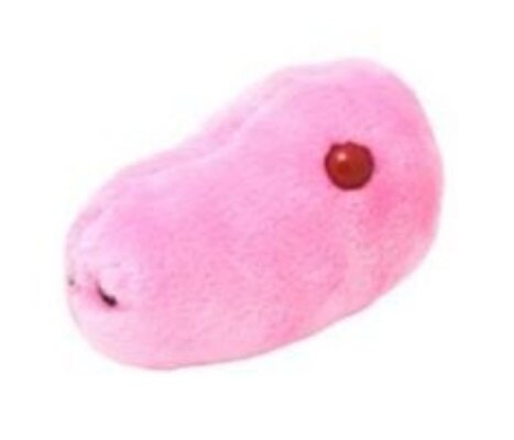 Giant Microbes Swine Flu (Mexicaanse griep)