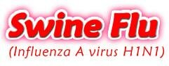 Giant Microbes Swine Flu (Mexicaanse griep)