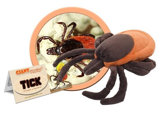 Giant Microbes plush Tick (Ixodes scapularis)