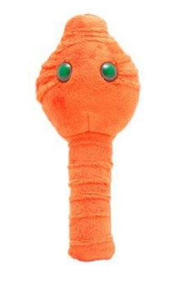 Giant Microbes plush Botulism (Clostridium botulinum - Botox)