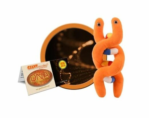 Giant Microbes DNA (Deoxyribonucleic acid)