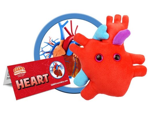 Giant Microbes Human Heart Organ